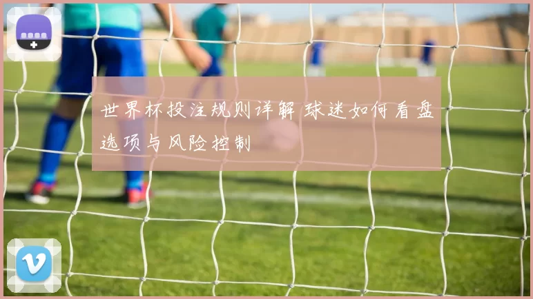 世界杯投注规则详解 球迷如何看盘选项与风险控制