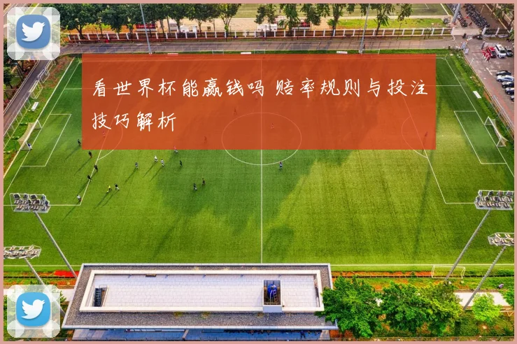 看世界杯能赢钱吗 赔率规则与投注技巧解析