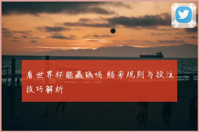 看世界杯能赢钱吗 赔率规则与投注技巧解析