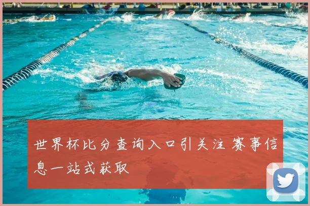 世界杯比分查询入口引关注 赛事信息一站式获取